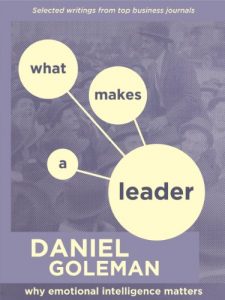 Descargar WHAT MAKES A LEADER: WHY EMOTIONAL INTELLIGENCE MATTERS (English Edition) pdf, epub, ebook