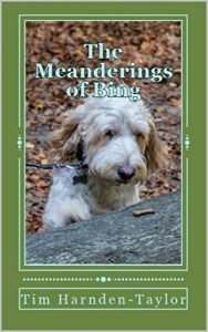 Descargar The Meanderings of Bing (Lines from My Forehead Book 1) (English Edition) pdf, epub, ebook