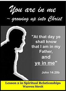 Descargar YOU ARE IN ME: ~growing up into Christ (Spiritual Relationships Book 2) (English Edition) pdf, epub, ebook