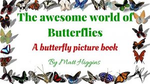 Descargar The awesome world of Butterflies: A butterfly picture book (English Edition) pdf, epub, ebook