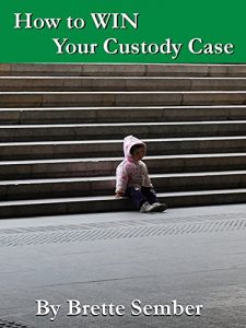 Descargar How to Win Your Custody Case (English Edition) pdf, epub, ebook