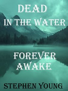 Descargar DEAD IN THE WATER; FOREVER AWAKE. Investigating the Smiley Face Killers. (English Edition) pdf, epub, ebook