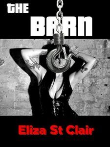 Descargar The Barn (English Edition) pdf, epub, ebook