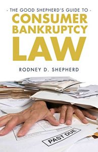 Descargar The Good Shepherd’s Guide to Consumer Bankruptcy Law (English Edition) pdf, epub, ebook