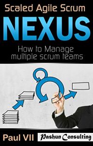 Descargar Scaled Agile Scrum: Nexus: How to Manage multiple scrum teams (scaled agile, scrum master, scrum of scrums, agile software development, agile program management) (English Edition) pdf, epub, ebook