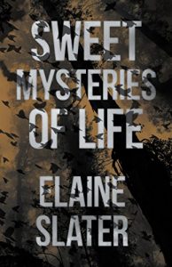 Descargar Sweet Mysteries of Life (English Edition) pdf, epub, ebook