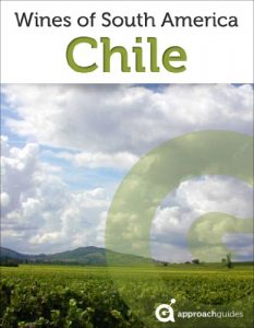 Descargar Wines of Chile (Chilean Wine Guide) (English Edition) pdf, epub, ebook