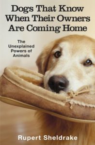 Descargar Dogs That Know When Their Owners Are Coming Home: And Other Unexplained Powers of Animals pdf, epub, ebook