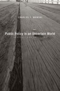 Descargar Public Policy in an Uncertain World pdf, epub, ebook