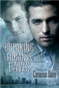 Descargar Breaking Logan’s Laws (Quinn Security Book 4) (English Edition) pdf, epub, ebook