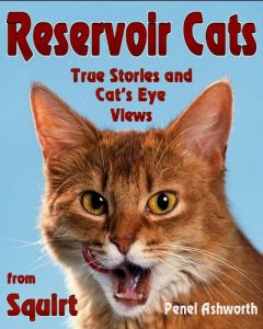 Descargar Reservoir Cats: True Stories and Cat’s Eye Views from Squirt (English Edition) pdf, epub, ebook