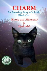 Descargar Charm: An Amazing Story of a Little Black Cat (English Edition) pdf, epub, ebook