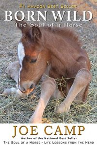 Descargar Born Wild – The Soul of a Horse (English Edition) pdf, epub, ebook