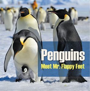 Descargar Penguins – Meet Mr. Flappy Feet: Penguin Books for Kids (Children’s Bird Books) pdf, epub, ebook