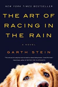 Descargar The Art of Racing in the Rain: A Novel pdf, epub, ebook