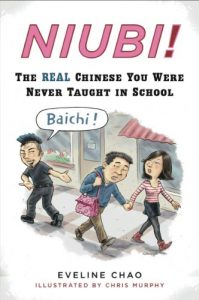 Descargar Niubi!: The Real Chinese You Were Never Taught in School pdf, epub, ebook