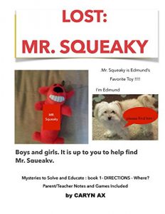 Descargar LOST! MR. SQUEAKY (Mysteries to Solve and Educate Book 1) (English Edition) pdf, epub, ebook