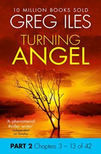 Descargar Turning Angel: Part 2, Chapters 3 to 13 pdf, epub, ebook