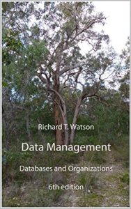 Descargar Data Management: Foundations of Data Analytics (English Edition) pdf, epub, ebook