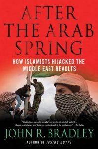 Descargar After the Arab Spring: How Islamists Hijacked The Middle East Revolts pdf, epub, ebook