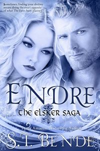 Descargar Endre (Elsker Saga Book 2) (English Edition) pdf, epub, ebook