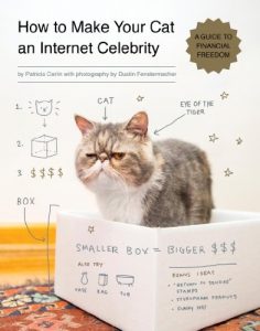 Descargar How to Make Your Cat an Internet Celebrity: A Guide to Financial Freedom pdf, epub, ebook