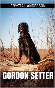 Descargar Gordon Setter: How to Own and Care for Your Gordon Setter (English Edition) pdf, epub, ebook