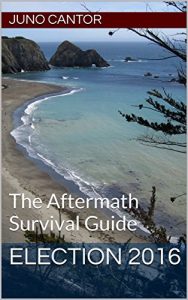 Descargar Election 2016: The Aftermath Survival Guide (English Edition) pdf, epub, ebook