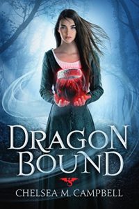 Descargar Dragonbound pdf, epub, ebook