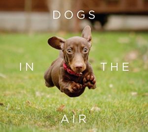 Descargar Dogs in the Air (English Edition) pdf, epub, ebook