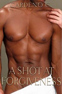 Descargar A Shot at Forgiveness: An Enemies to Lovers Contemporary Gay Romance (English Edition) pdf, epub, ebook