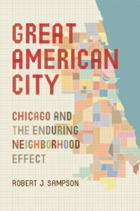 Descargar Great American City: Chicago and the Enduring Neighborhood Effect pdf, epub, ebook