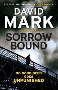 Descargar Sorrow Bound: The 3rd DS McAvoy Novel (Ds Aector Mcavoy) pdf, epub, ebook