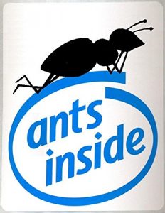 Descargar Ants inside: the truth about computers (Pisolo Books) (English Edition) pdf, epub, ebook