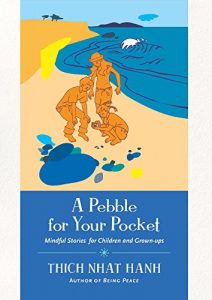 Descargar A Pebble for Your Pocket pdf, epub, ebook