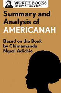 Descargar Summary and Analysis of Americanah: Based on the Book by Chimamanda Ngozi Adichie (English Edition) pdf, epub, ebook