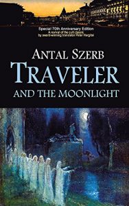 Descargar Traveler and the Moonlight (English Edition) pdf, epub, ebook