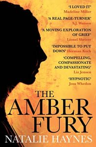 Descargar The Amber Fury (English Edition) pdf, epub, ebook