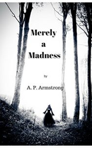 Descargar Merely a Madness (English Edition) pdf, epub, ebook