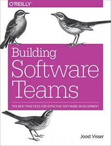 Descargar Building Software Teams: Ten Best Practices for Effective Software Development pdf, epub, ebook