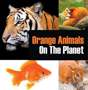 Descargar Orange Animals On The Planet: Animal Encyclopedia for Kids (Colorful Animals on the Planet Book 3) (English Edition) pdf, epub, ebook