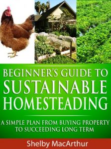 Descargar Beginner’s Guide to Sustainable Homesteading: A Simple Plan From Buying Property To Succeeding Long Term (English Edition) pdf, epub, ebook