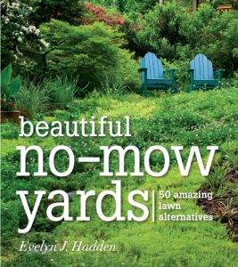 Descargar Beautiful No-Mow Yards: 50 Amazing Lawn Alternatives (English Edition) pdf, epub, ebook