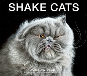 Descargar Shake Cats pdf, epub, ebook