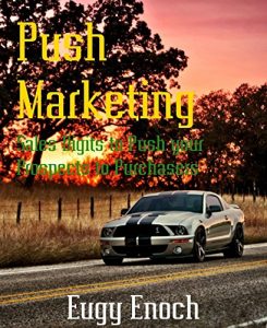 Descargar Push Marketing: Sales Digits to Push your Prospects to Purchasers (English Edition) pdf, epub, ebook