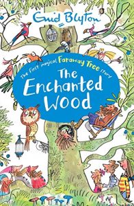 Descargar The Enchanted Wood: Book 1 (The Magic Faraway Tree) pdf, epub, ebook
