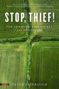 Descargar Stop, Thief!: The Commons, Enclosures, And Resistance (Spectre) pdf, epub, ebook