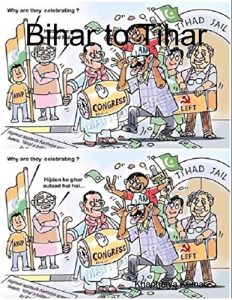 Descargar Parody: Bihar to Tihar: My Political Journey pdf, epub, ebook