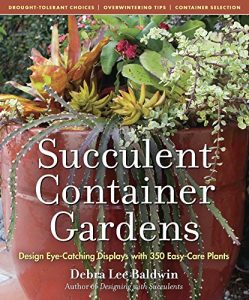 Descargar Succulent Container Gardens: Design Eye-Catching Displays with 350 Easy-Care Plants (English Edition) pdf, epub, ebook