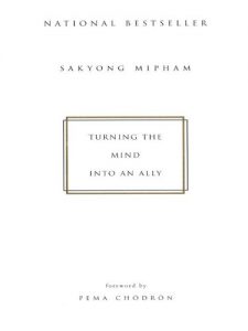 Descargar Turning the Mind Into an Ally pdf, epub, ebook